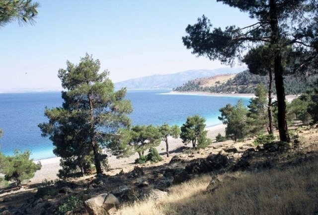 Краєвид на озеро Салда. Фото Wikipedia