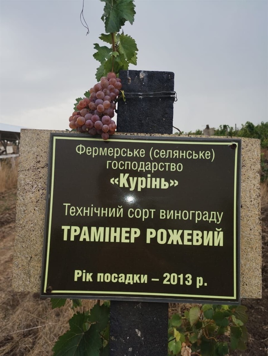 Винарня "Курінь"