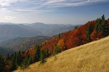Панорама парку / Автор фото Сергій Криниця