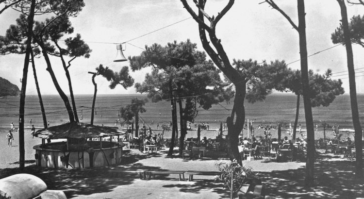Club Méditerranée
