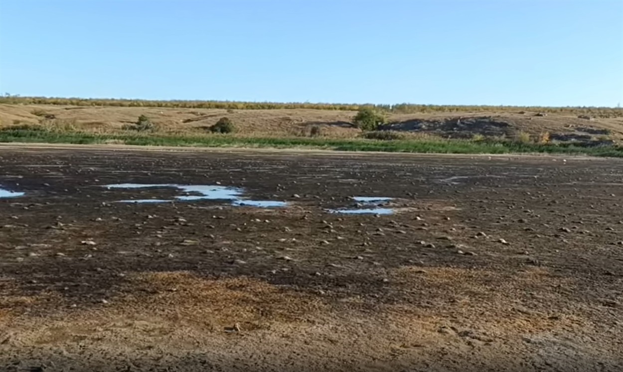 Річка Берда в районі села Радивонівка