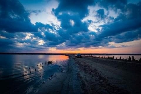 Куяльник