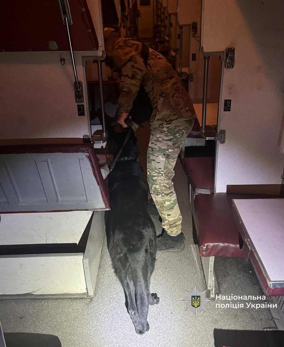 Перевірка поїзда