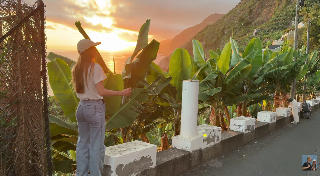 Мадейра, бананові плантації