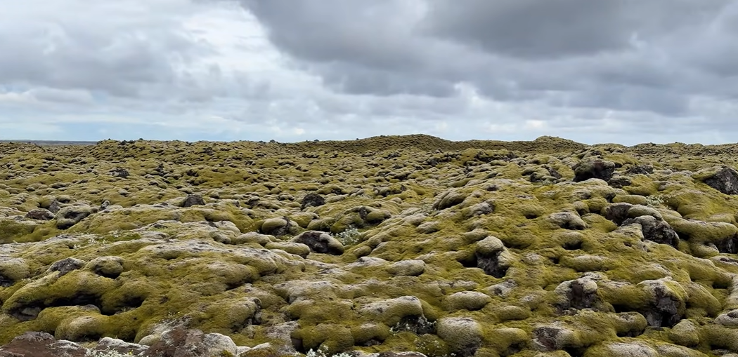 Лавові поля, вкриті мохом
