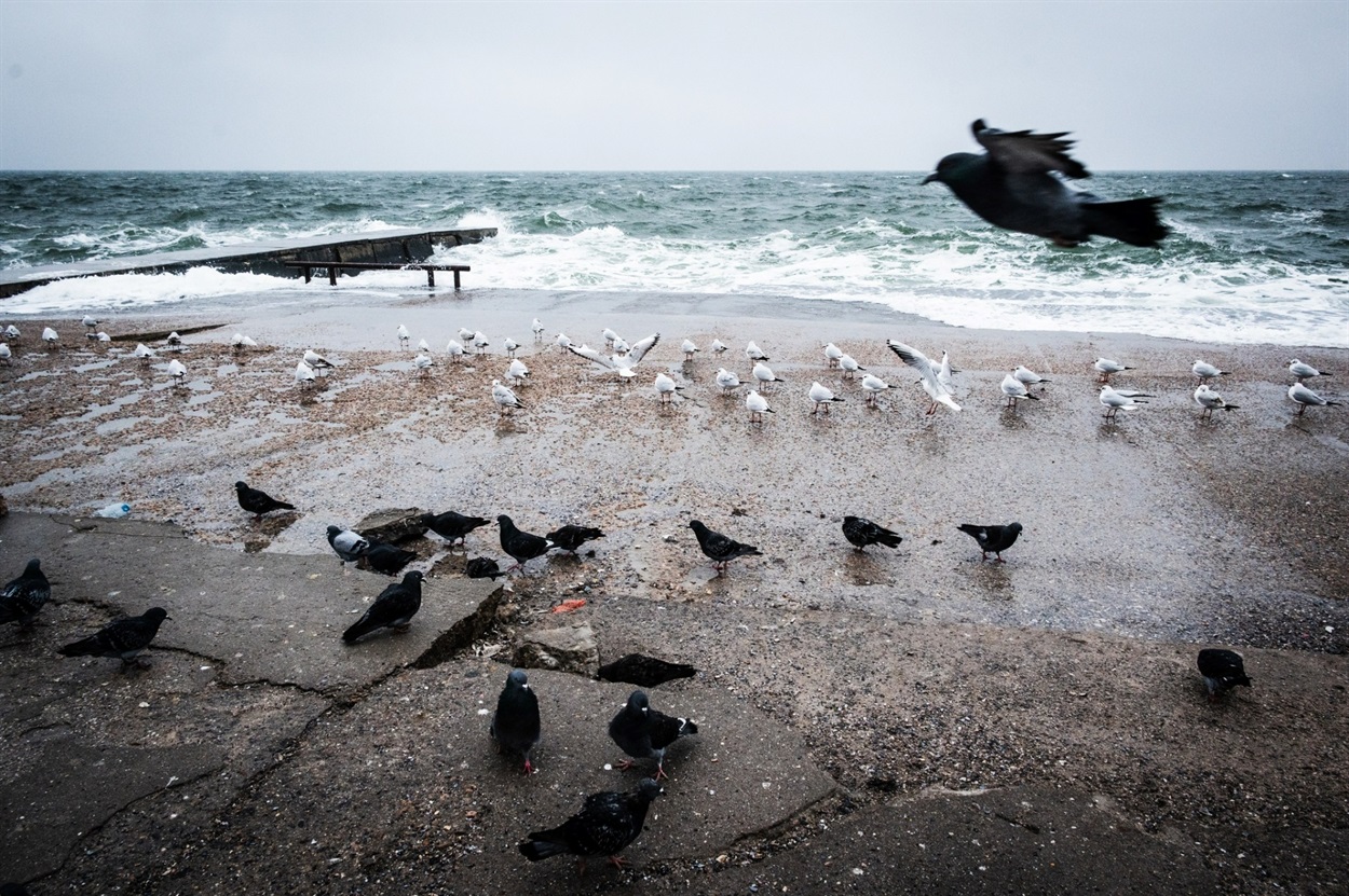 Шторм в Одесі