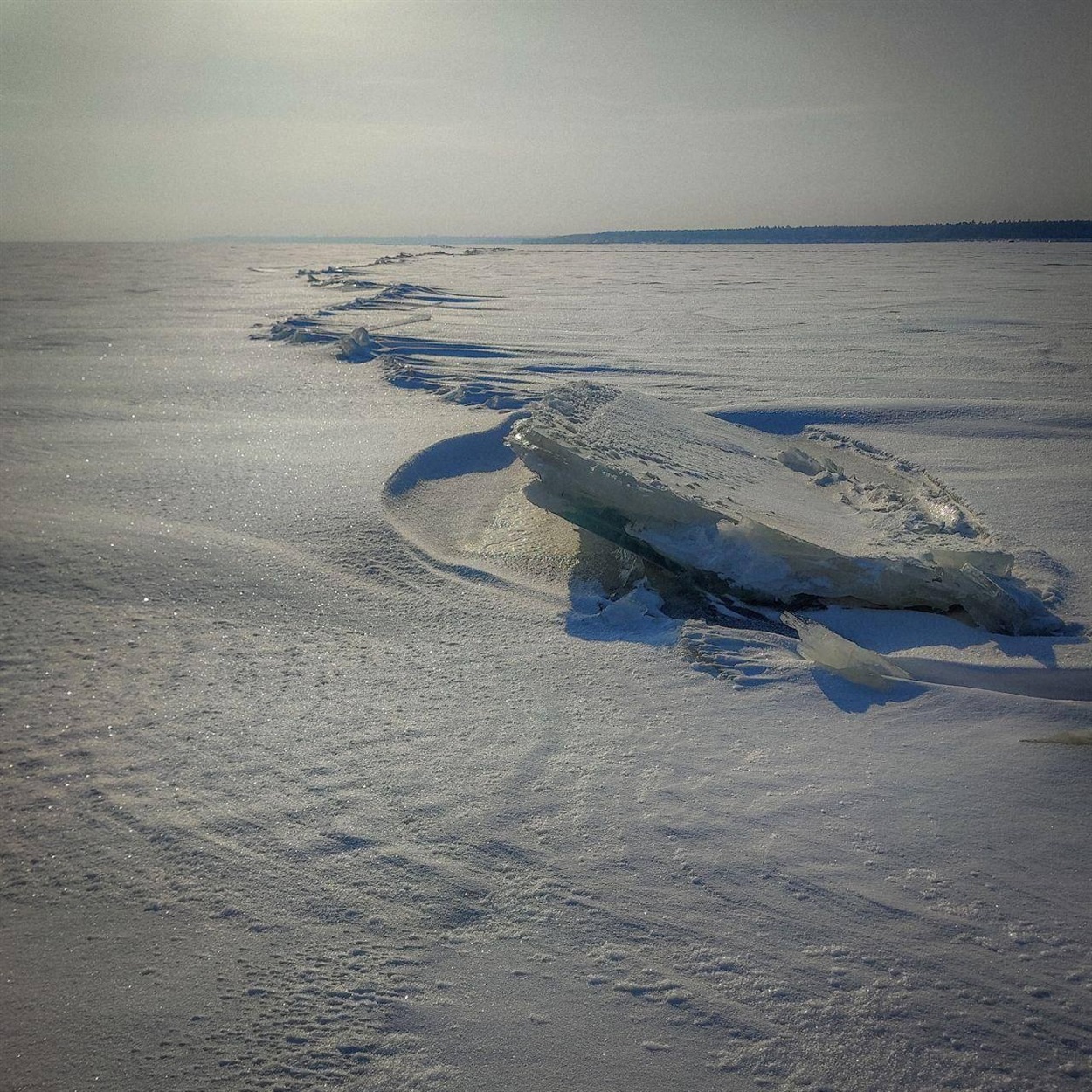 Київське море, зима 2026