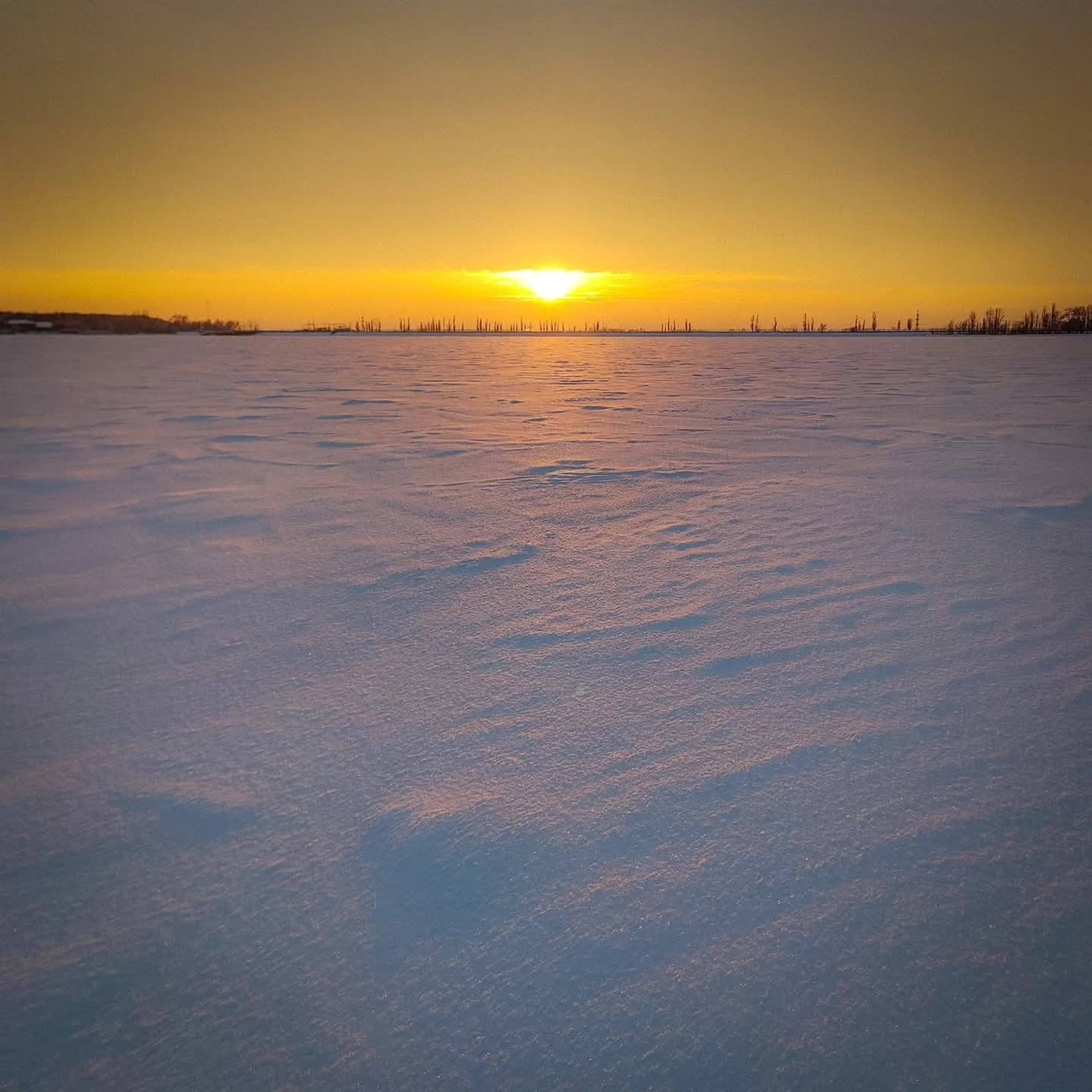 Київське море, кадри мандрівників, січень 2026