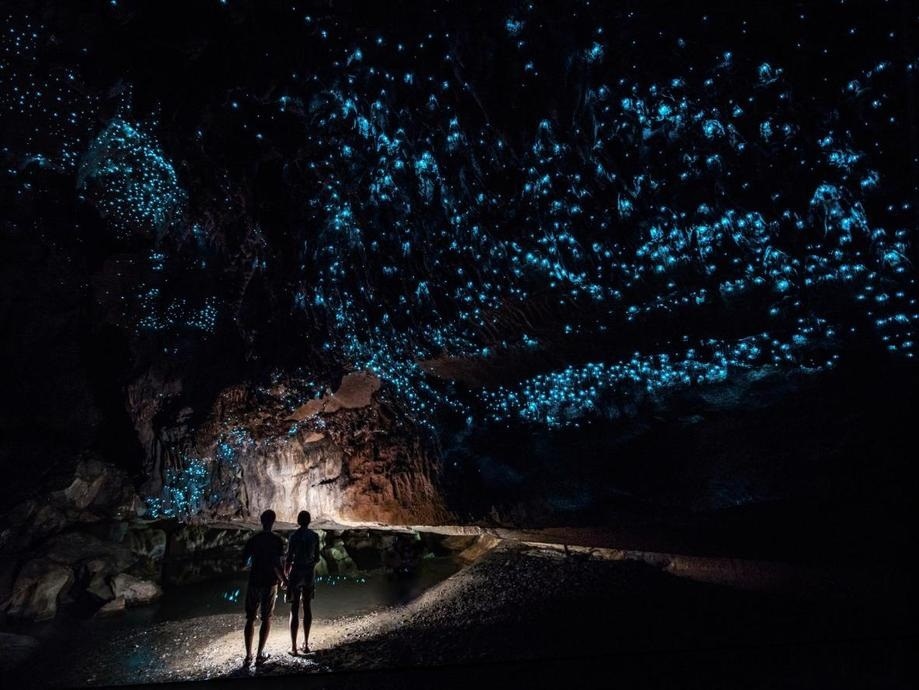 Світлова печера у Вайтомо, Нова Зеландія