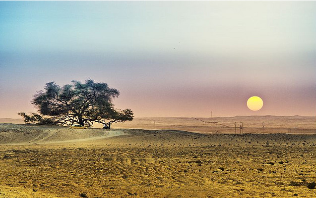 Бахрейн, Дерево Життя