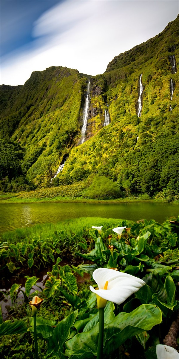 Poço da Ribeira do Ferreiro