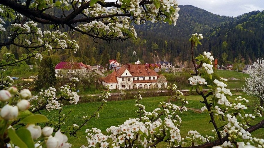 Татарів
